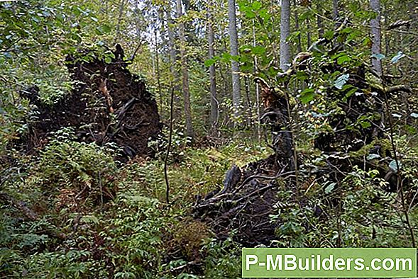 Millised Mulla Muudatused On Kõige Tõhusamad?