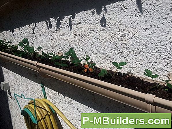 Aardbeien Telen Met Behulp Van De Containermethode: 3 Tips