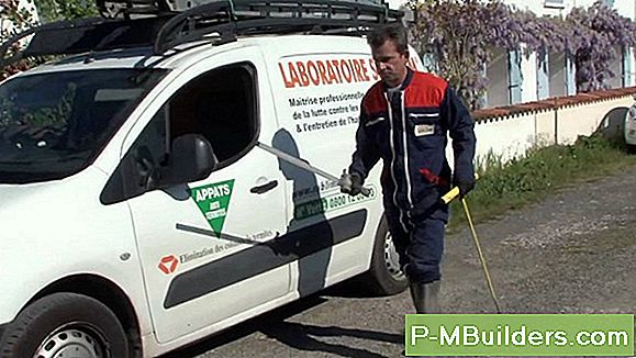 3 Termiet Behandeling Veiligheidsproblemen