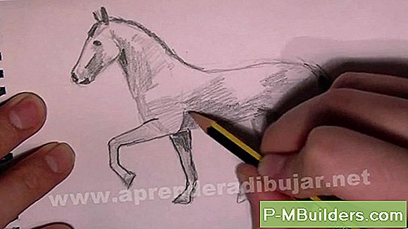 Een Paardenstalhut Maken