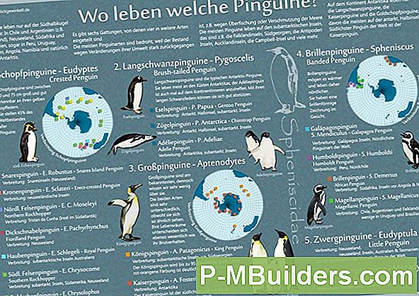 Was Sind Verschiedene Arten Von Vorschaltgeräten?