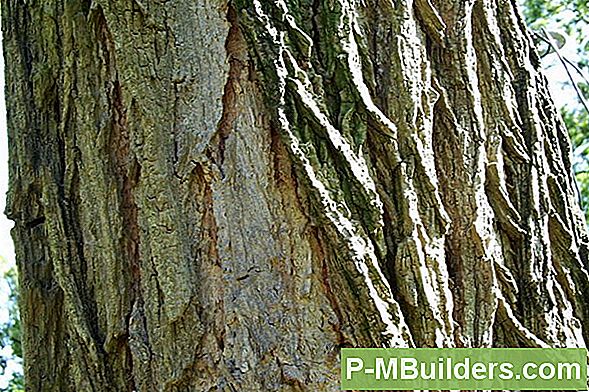 Verwendungen Für Rinde Mulch
