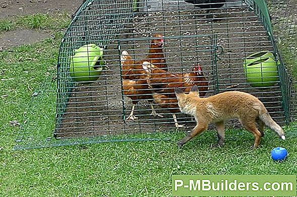 A Guide To Electric Fence Finding