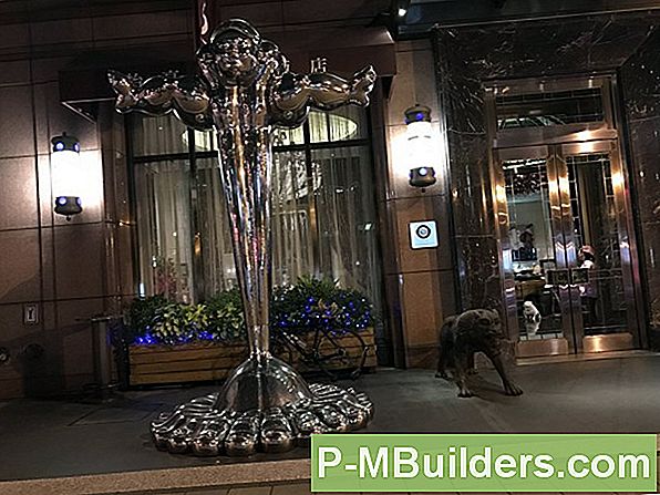 Unterschiede Zwischen Einem Indoor Und Einem Outdoor Trellis