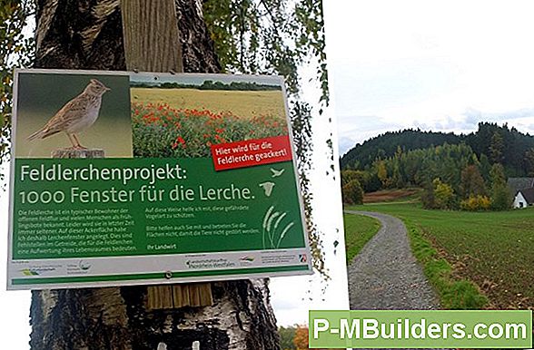Wie Man Torfmoos Verwendet, Um Ihren Hof Zu Ebnen