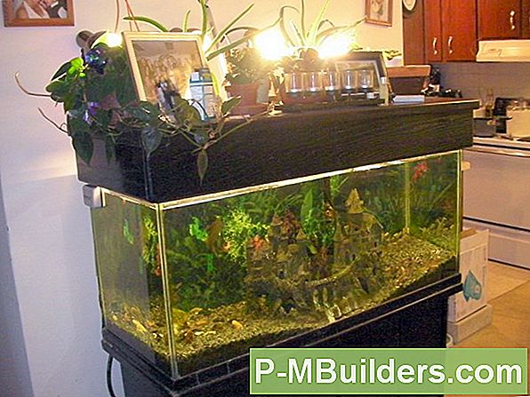 Mit Gravel In Aquaponics Systems