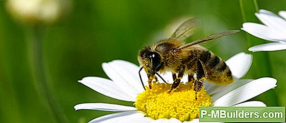 Heizen Rohrreinigung Mit Alltäglichen Haushaltsgegenständen