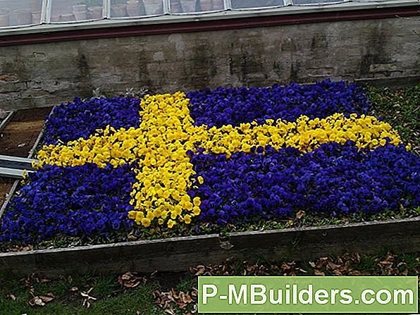 Hur Man Återställer Betongbassängdeckning