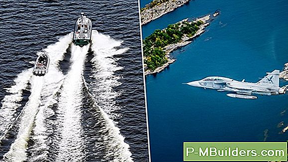 Fördelar Med Att Använda Ett Mögelplog
