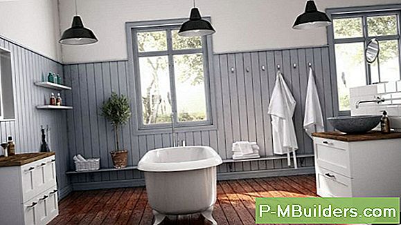 Tips För Att Välja En Piggplanter