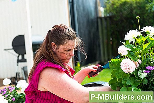 Faror Av Trädgårdsarbete Med Hydroponics