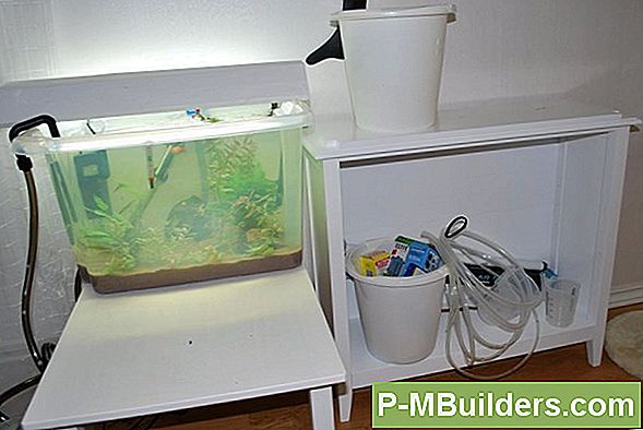 Växande Räkor Med Aquaponics