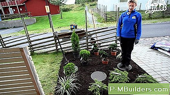 Hur Man Planterar Och VĂ€xter Butternut Squash