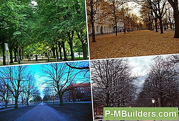 Vilka Markförändringar Är Mest Effektiva?