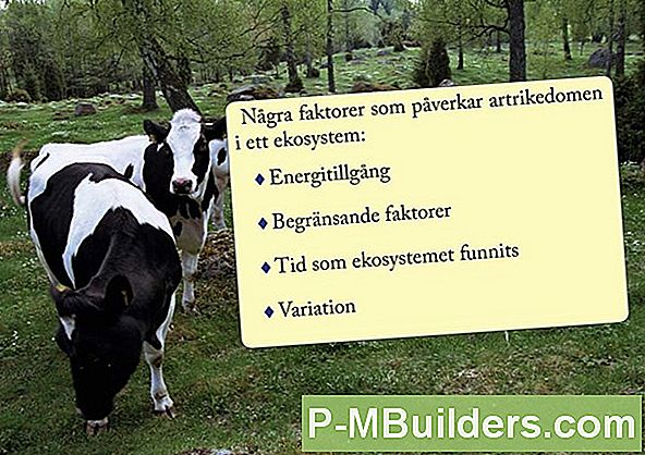 2 Faktorer Som Påverkar Luftfuktighetsnivån I Ett Hus
