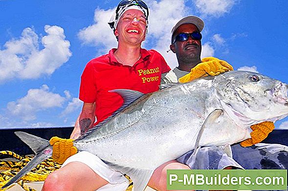 Tips Och Tricks För Pan Fishing