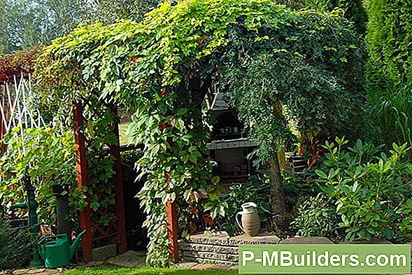 Grow A Grill Garden