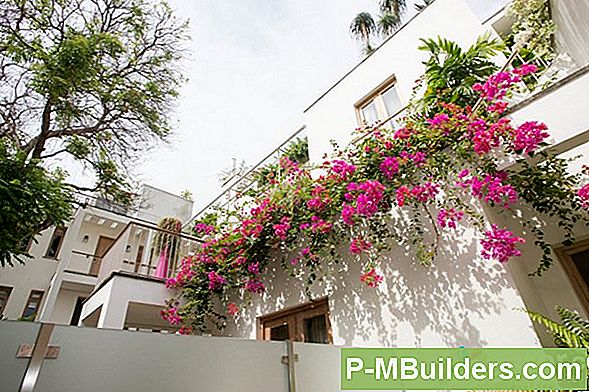 The Street-Side Garden