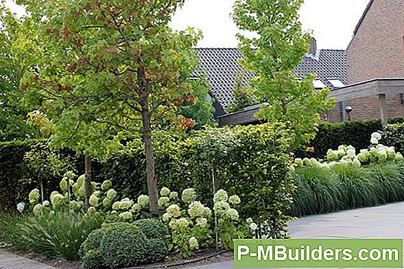 Stenen Onderhoud, Verzorging En Reparatie