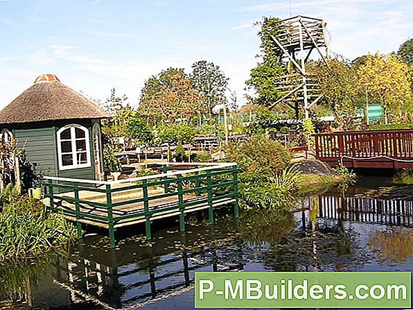 18 Kamerplanten Perfect Voor Slechte Tuinlieden