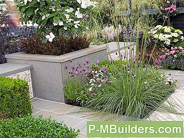 Evergreens Voor Yards And Gardens: Beyond Pines And Spruces, Part 1
