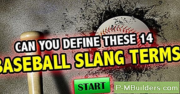 Slang Bibb