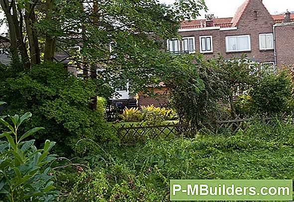 Houd Ongedierte Op Afstand Van Je Barbecue