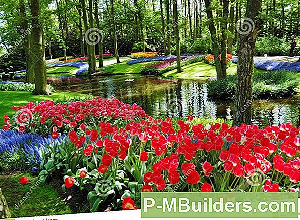 Een Scent Garden Planten