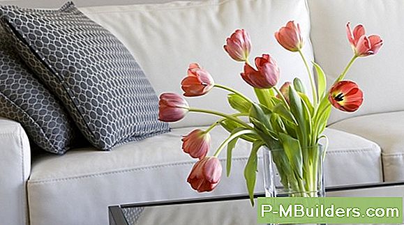 Huishoudelijke Tips En Tips Voor Het Reinigen