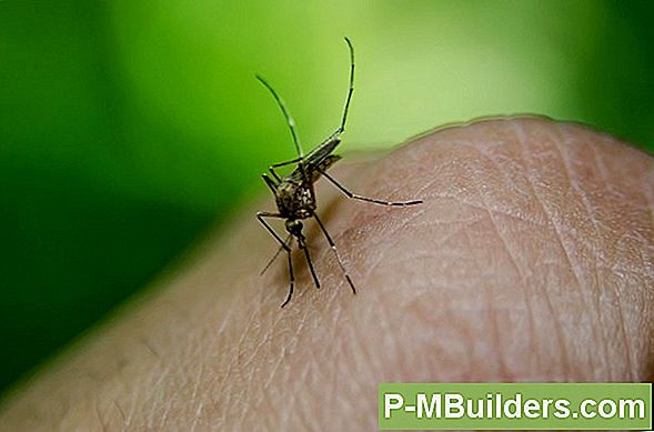 Natuurlijke Bestrijding Van Ongedierte Versus Chemische Ongediertebestrijding