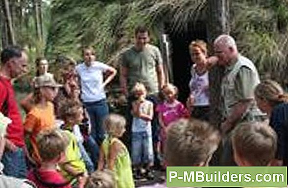 Grootouders Die Kleinkinderen Grootbrengen
