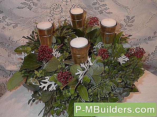 De Oorsprong Van De Kerstboom
