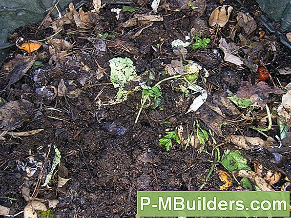 Compost