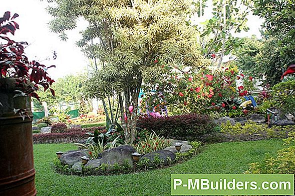 Sand Gardens -