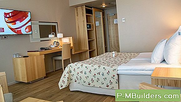 Lõõgastav Adirondacki Õppetool