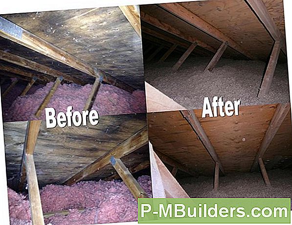 Mildew Removal Planeerimine