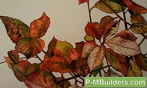 Kuidas Feng Shui Kasutamine Kaunistamiseks