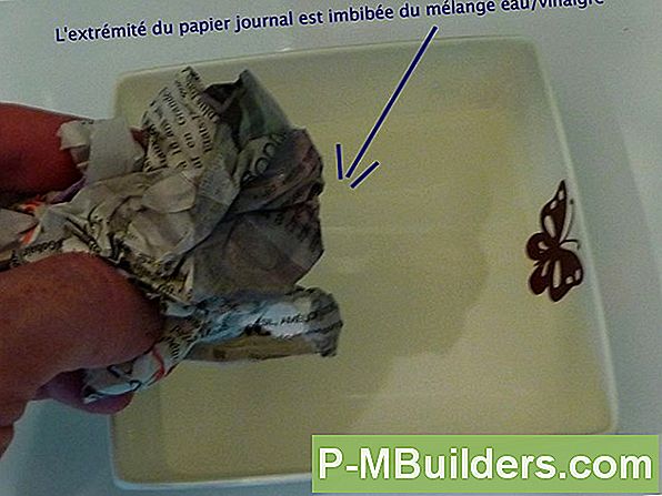 Schoonmaken Van Het Vogelbad