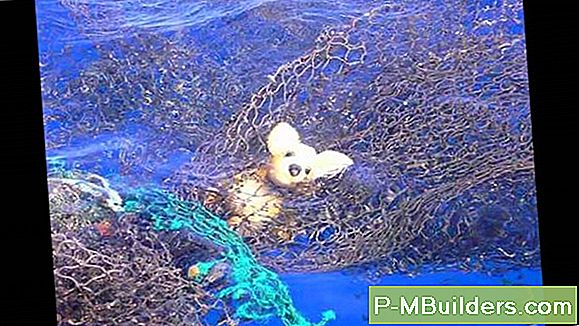 Schoonmaak Plastic