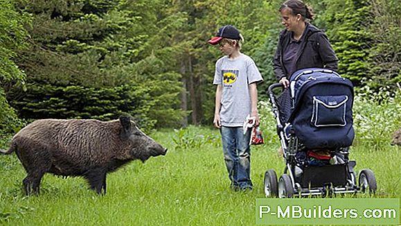 Was Tun, Wenn Ein Kalter Motor Schwer Zu Starten Ist