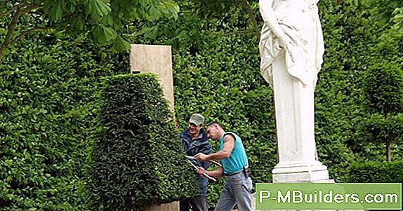 Schneiden Sie Die Mähen-Gewohnheit
