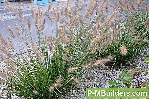 Gartenarbeit Werkzeuge Für Den Anfang Gärtner
