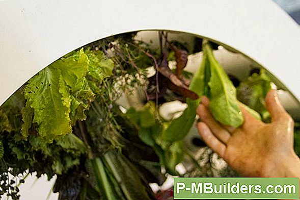 How To Grow Herbs Drinnen