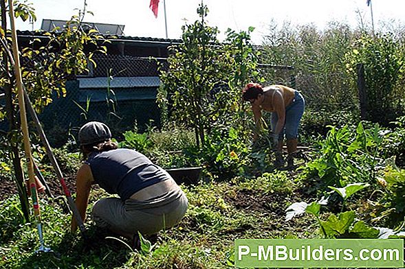 Bio-Gartenbau & Kompostierung