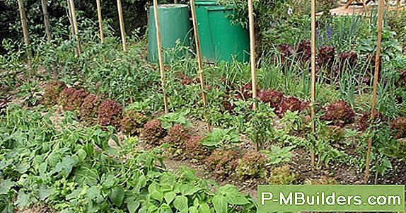 Den Eigenen Gemüsegarten Vorbereiten