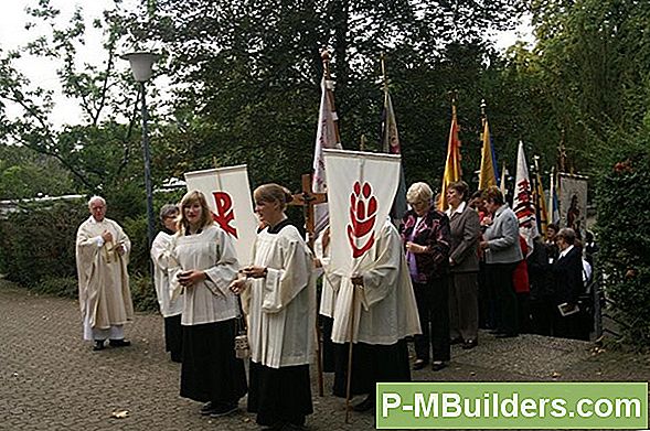 Baumpflanzung - Beschneiden
