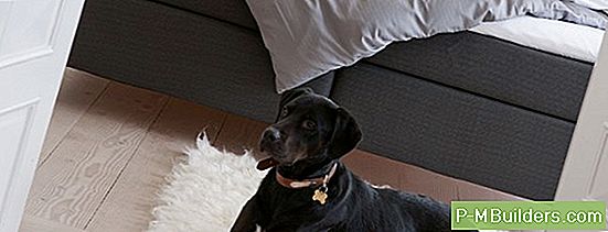 Fördelar Och Nackdelar Med Glasfiberdörrdörrar