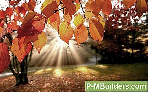 Tillbaka Till Nature Ready-Strip - Safer Paint & Larn Remover