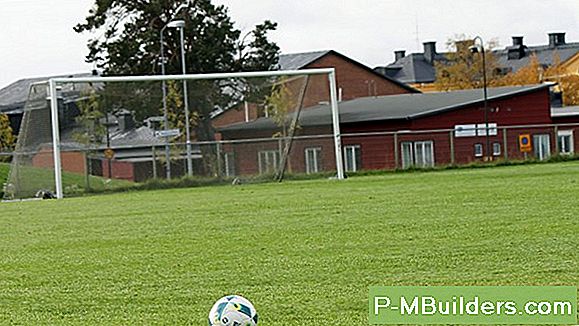 At Bringe Et Kollegieværelse Til Livet Med Planter