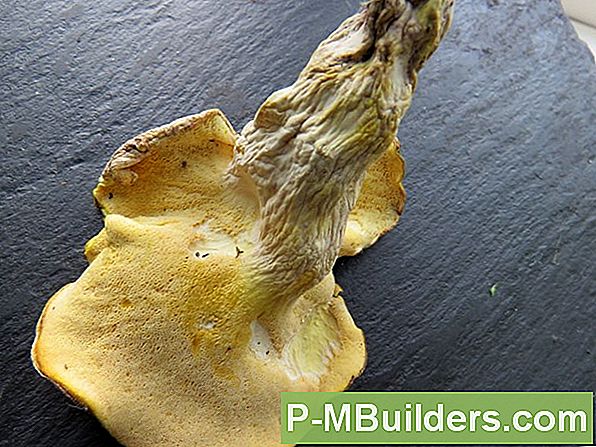 Citrongul